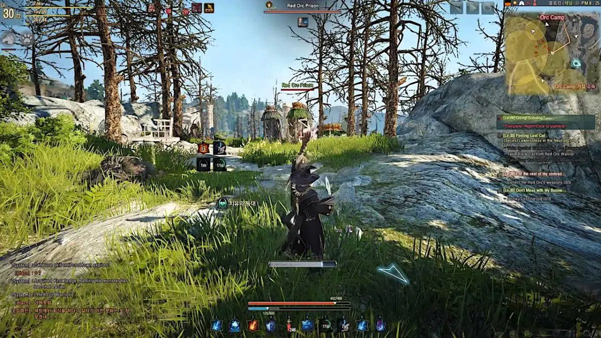 Screenshot Black Desert 5