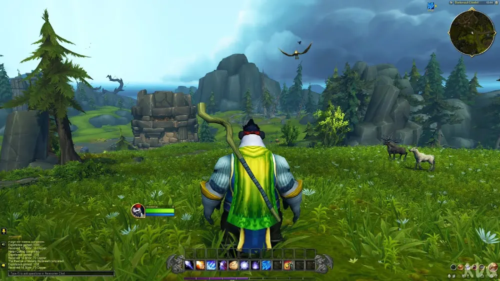 Screenshot WoW 6